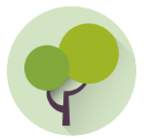 icon4